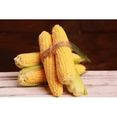 Канзас F1 - семена сахарной кукурузы, 1000сем., Libra Seeds